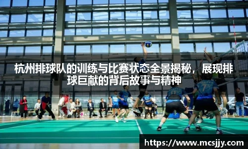 杭州排球队的训练与比赛状态全景揭秘，展现排球巨献的背后故事与精神
